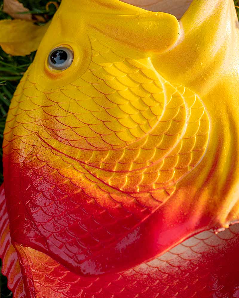 Fun Express Fish Fun Fish Slides – SPITGAN Emporium